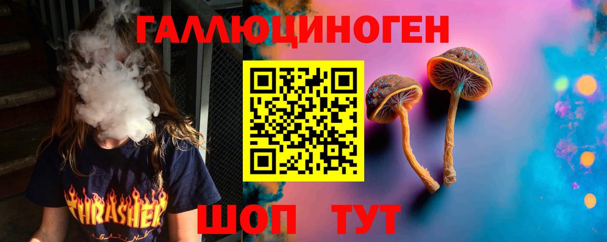 Галлюциногенные грибы GOLDEN TEACHER Томск