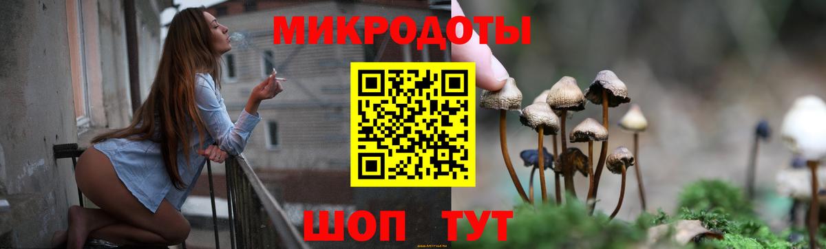 Томск  Галлюциногенные грибы мицелий  Вход с VPN 